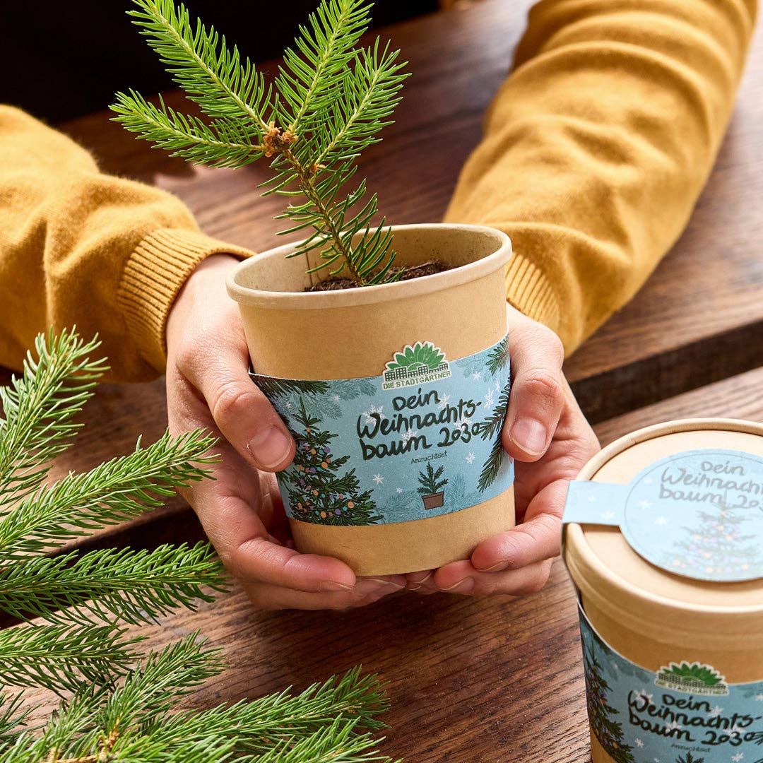 Weihnachtsbaum aus dem Becher