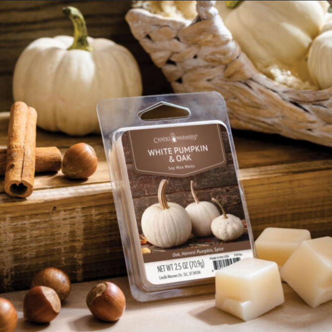CANDLE WARMERS® Classic Duftwachs WHITE PUMPKIN & OAK 70g