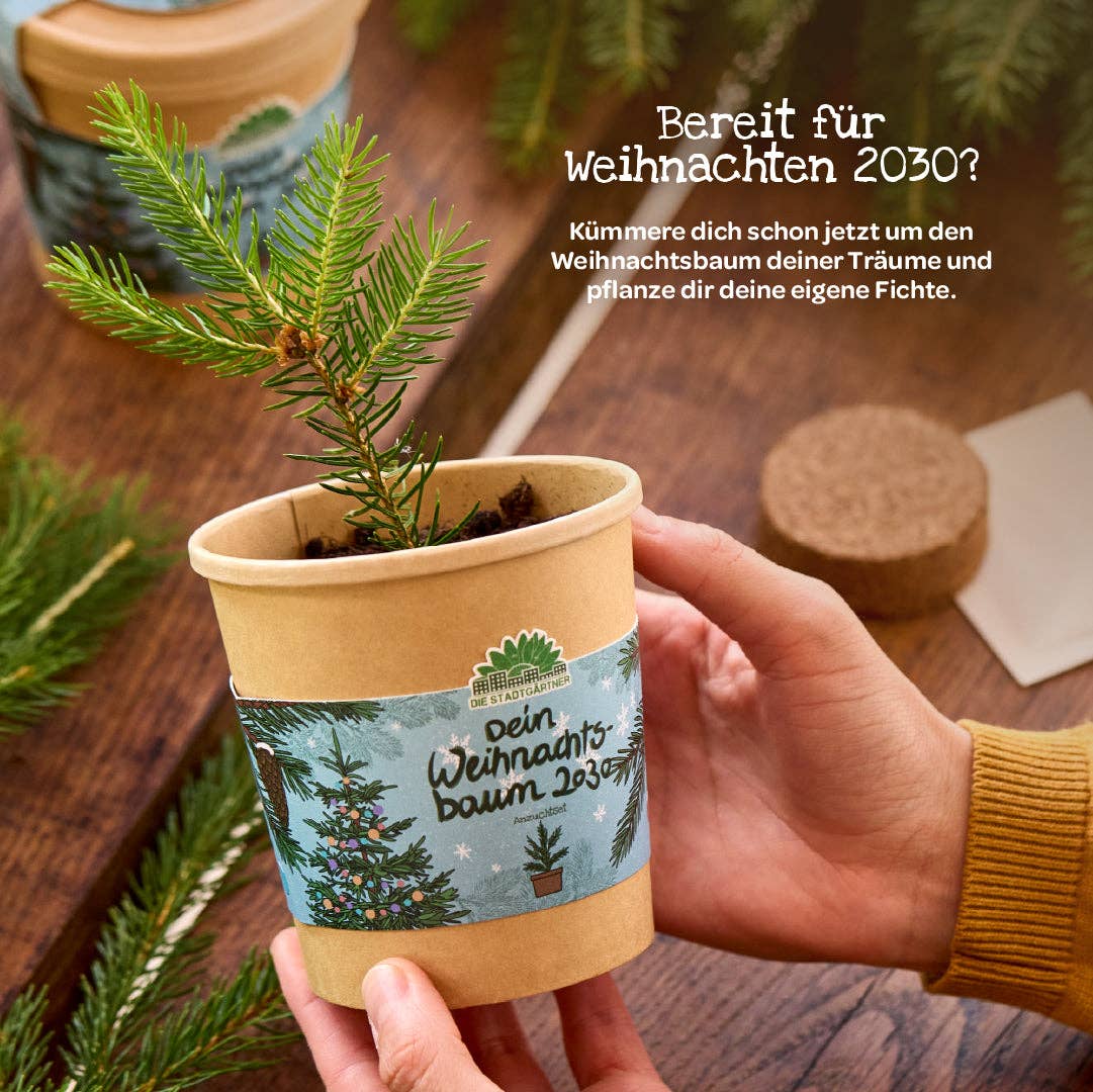 Weihnachtsbaum aus dem Becher