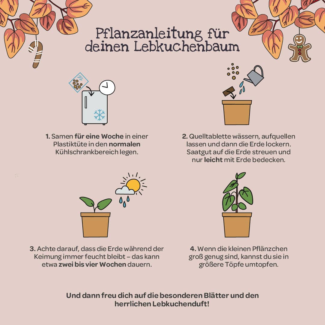 Lebkuchenbaum aus dem Becher