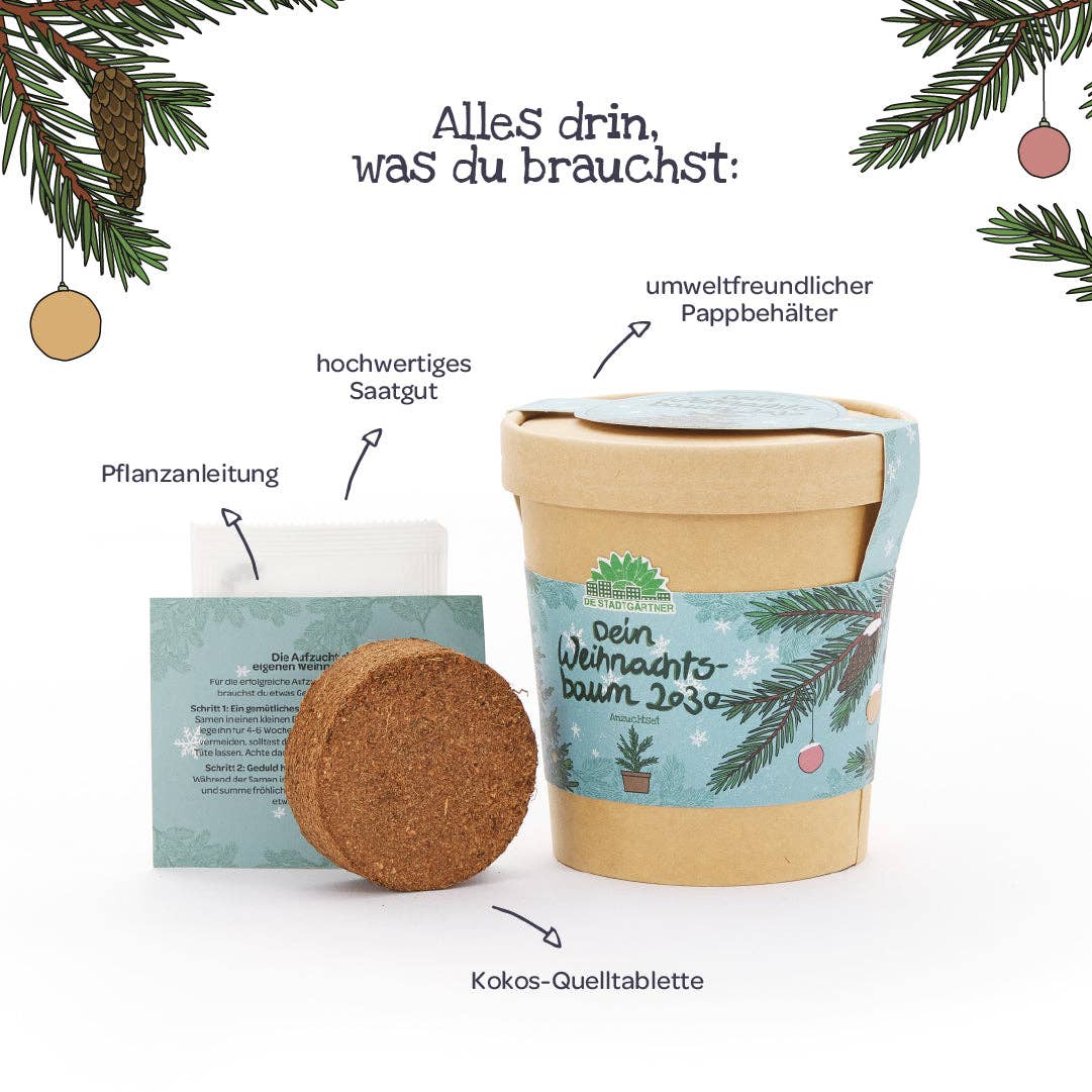 Weihnachtsbaum aus dem Becher