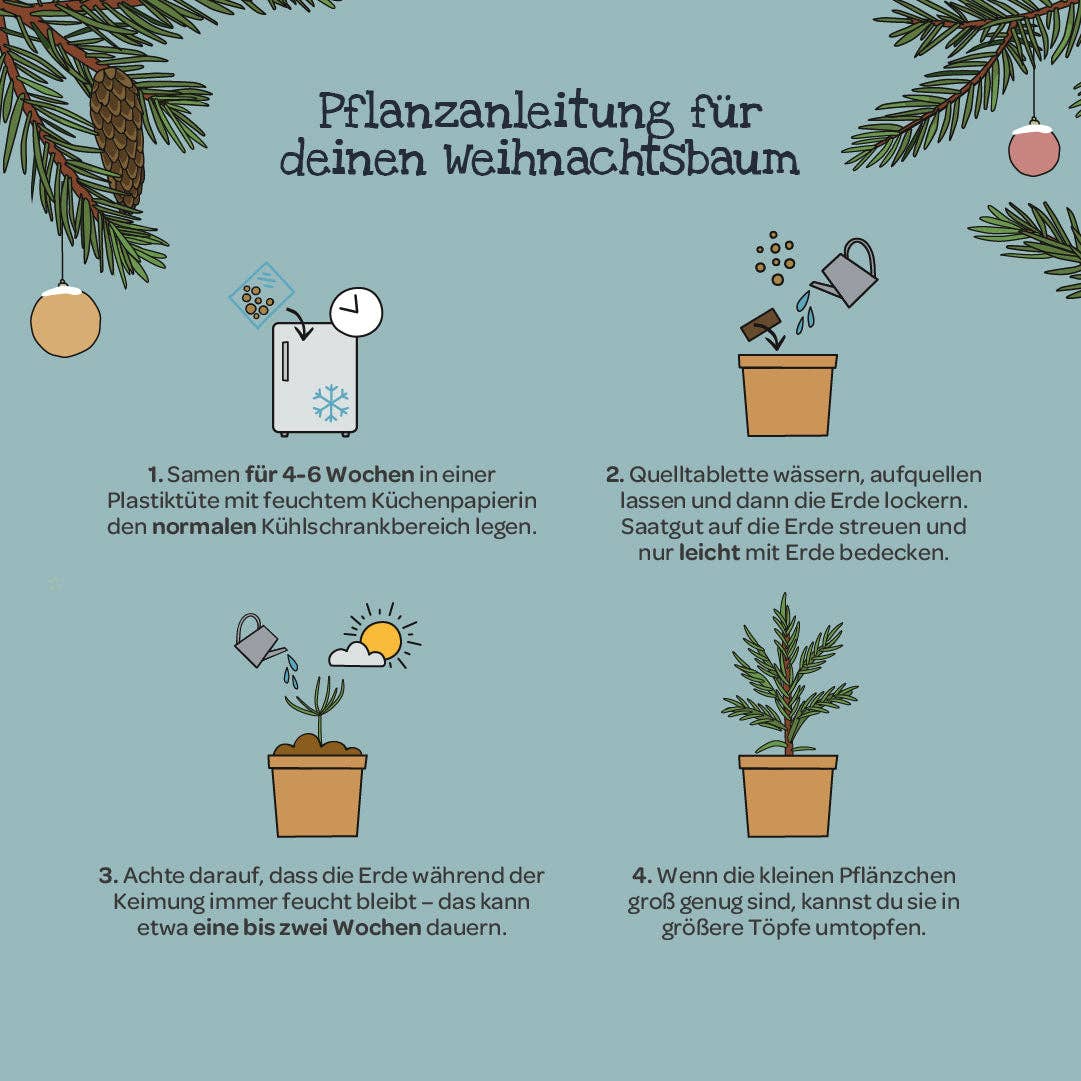 Weihnachtsbaum aus dem Becher