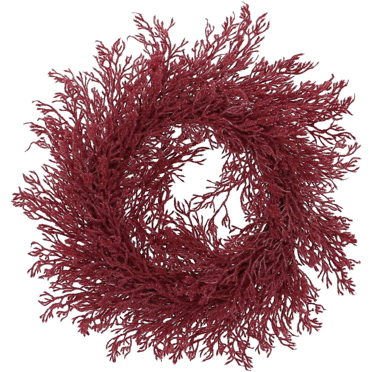 Pampas Kranz Dry, D36cm, Beere