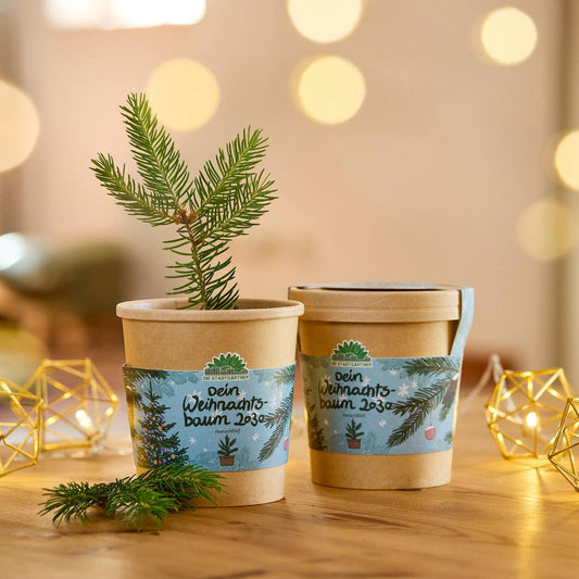 Weihnachtsbaum aus dem Becher