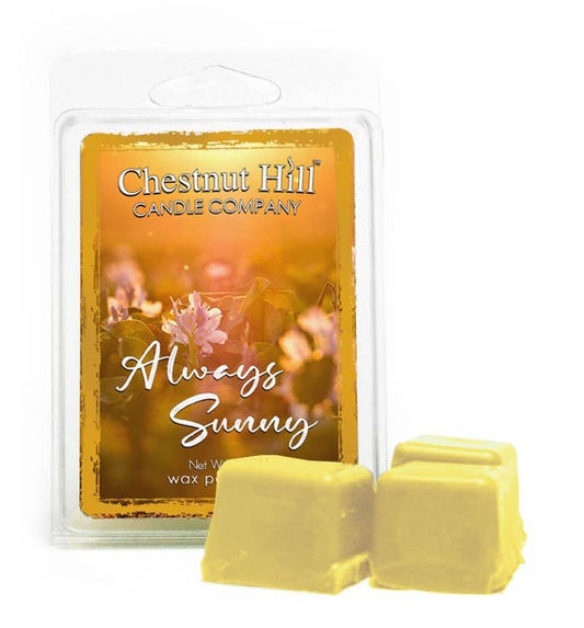 CHESTNUT HILL Candles Soja Duftwachs 85 g ALWAYS SUNNY