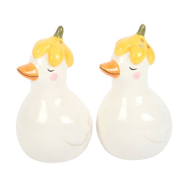 Salz- & Pfefferstreuer „Enten mit Blumenhüten“ – Niedliches Keramik-Set